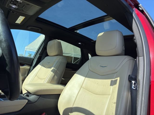 Used 2019 Cadillac XT5 Premium Luxury FWD image 6