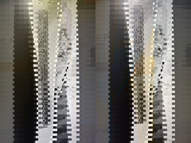 Used 2021 RAM 1500 TRX w/ TRX Level 2 Equipment Group image 12