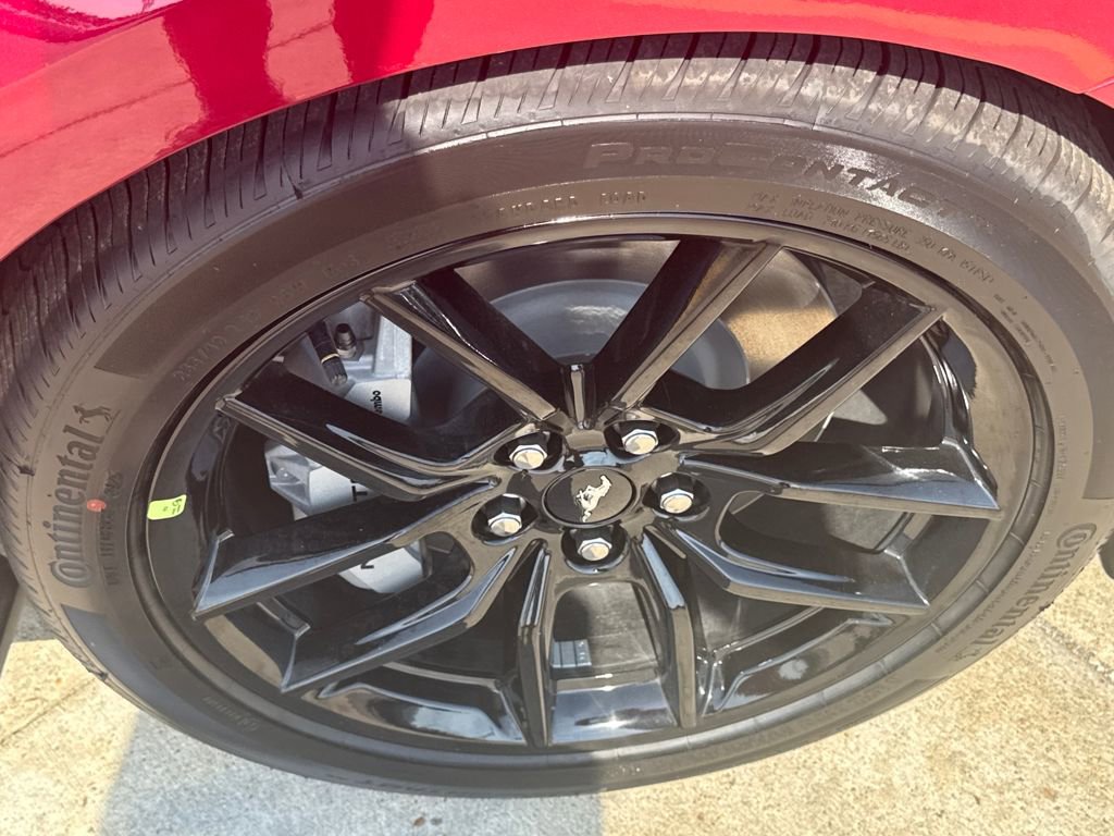 New 2025 Ford Mustang GT Premium w/ Mustang Nite Pony Package image 21