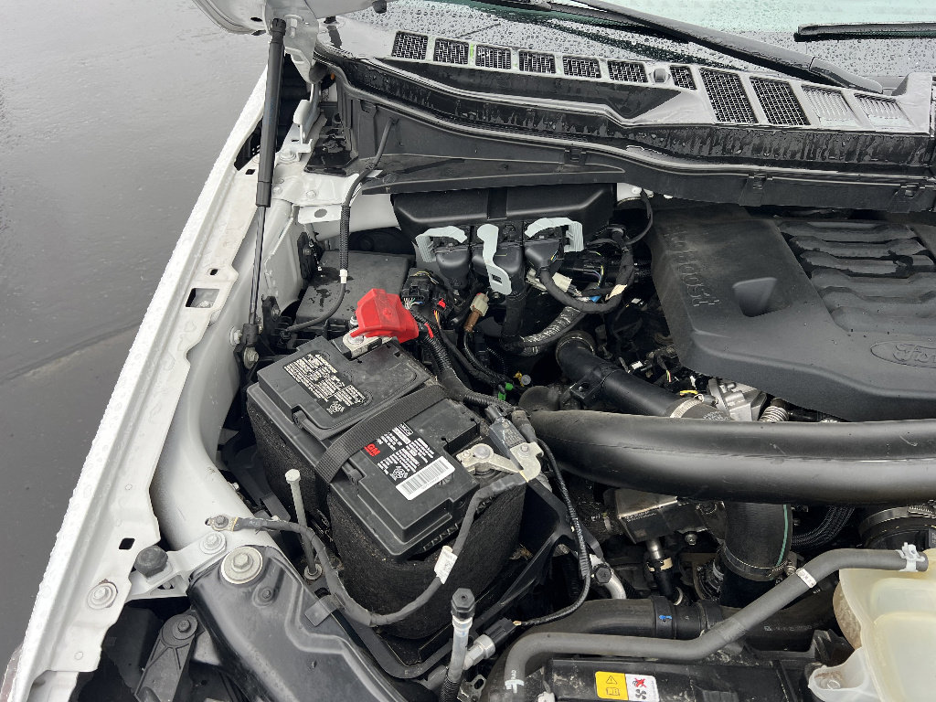 Certified 2022 Ford F150 XL w/ STX Appearance Package AWD/4WD image 39