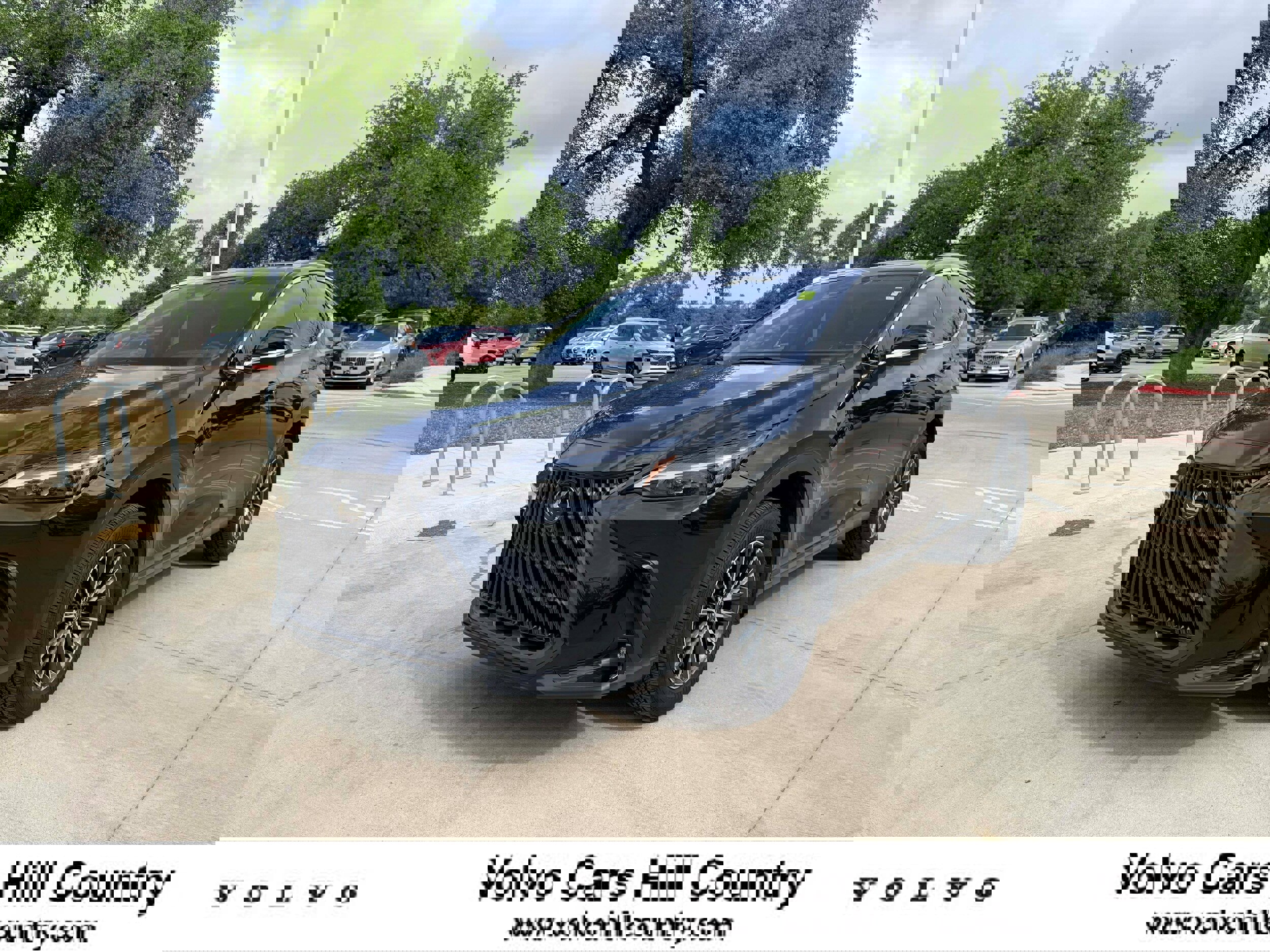 Used 2024 Lexus NX 350h AWD image 1