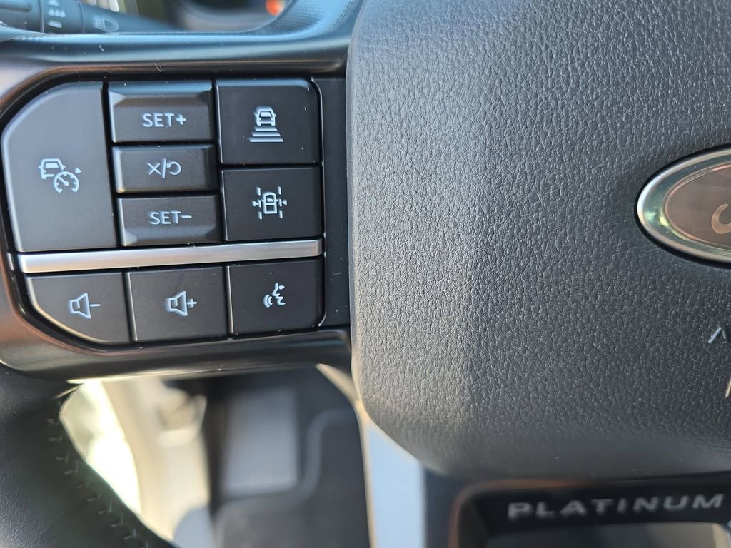 New 2026 Ford F250 Platinum image 15