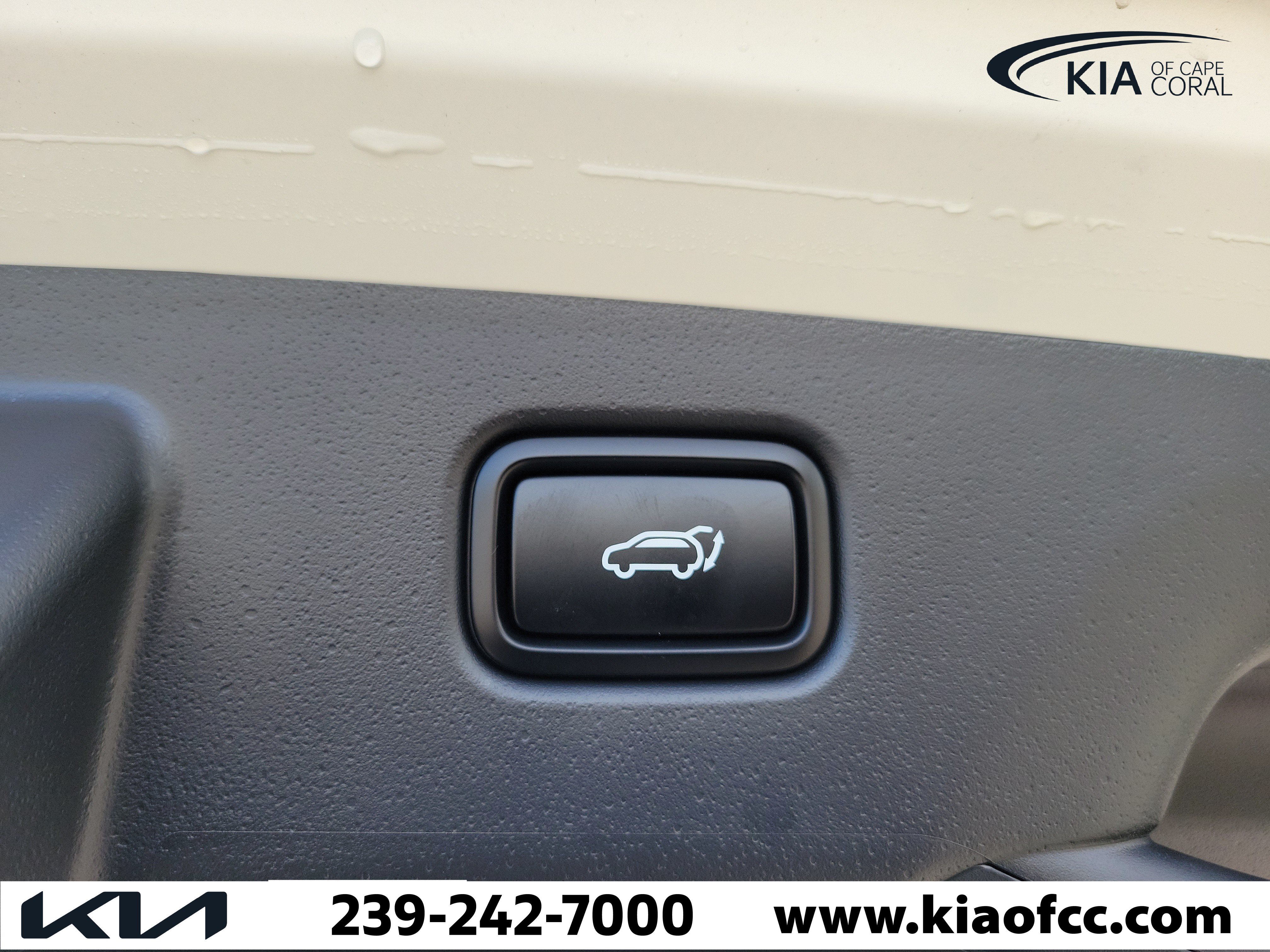 New 2026 Kia Niro EX w/ EX Premium Package FWD image 12