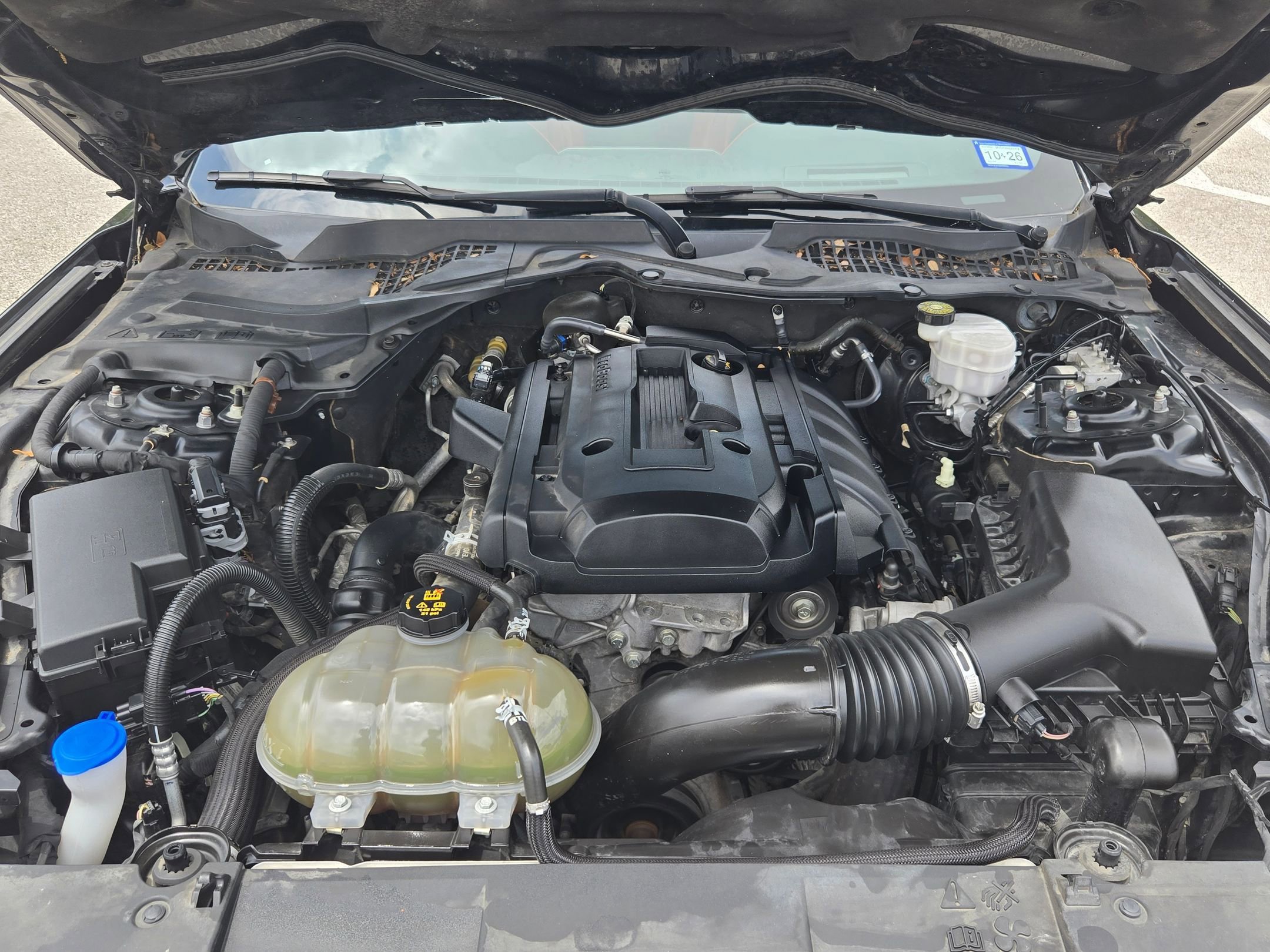 Used 2019 Ford Mustang Premium w/ Equipment Group 201A RWD image 27