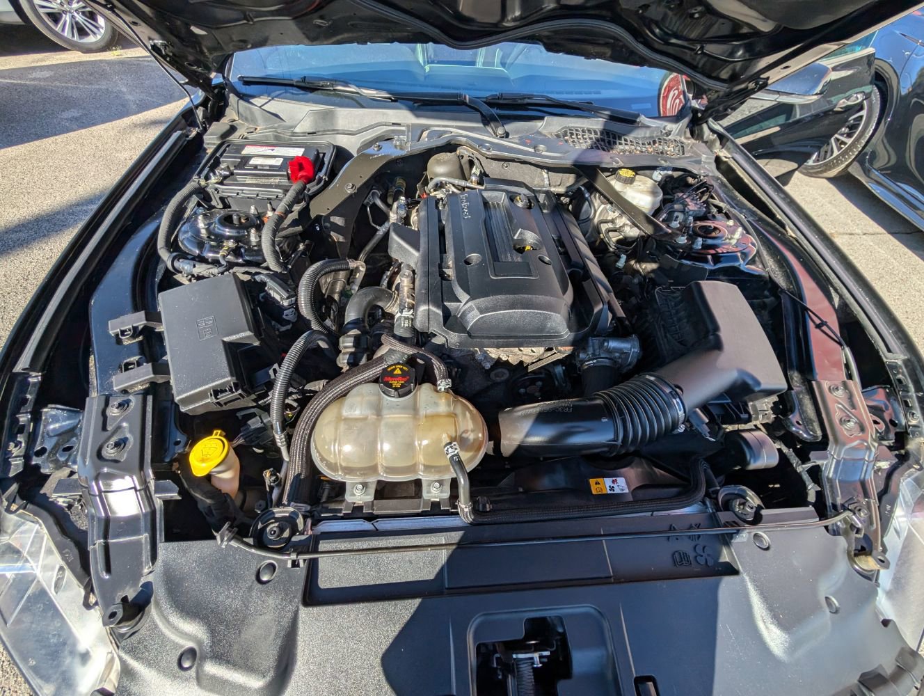 Used 2018 Ford Mustang Premium w/ Black Accent Package image 10