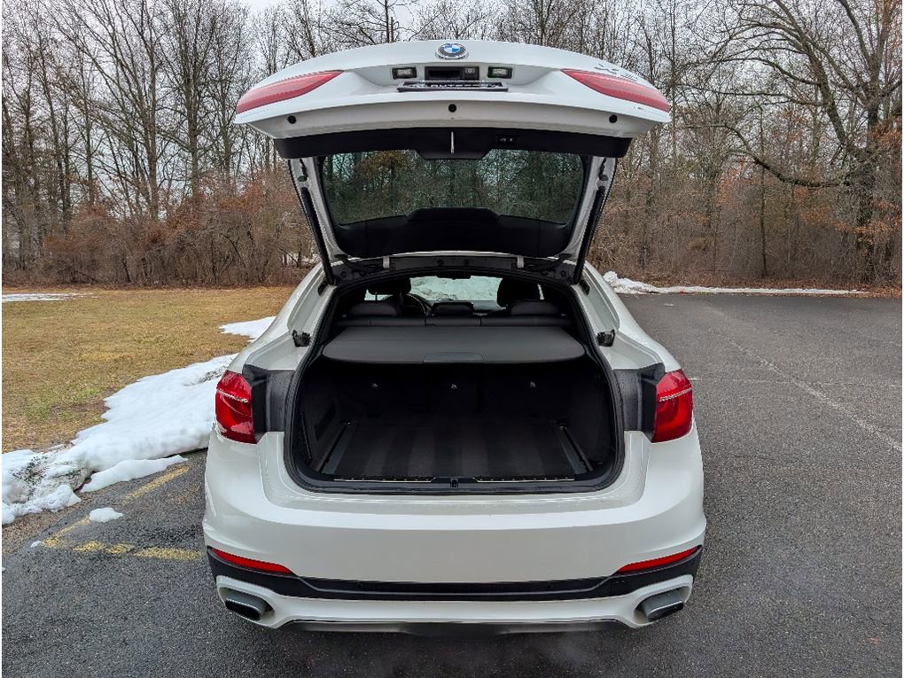 Used 2019 BMW X6 xDrive35i w/ Premium Package image 6