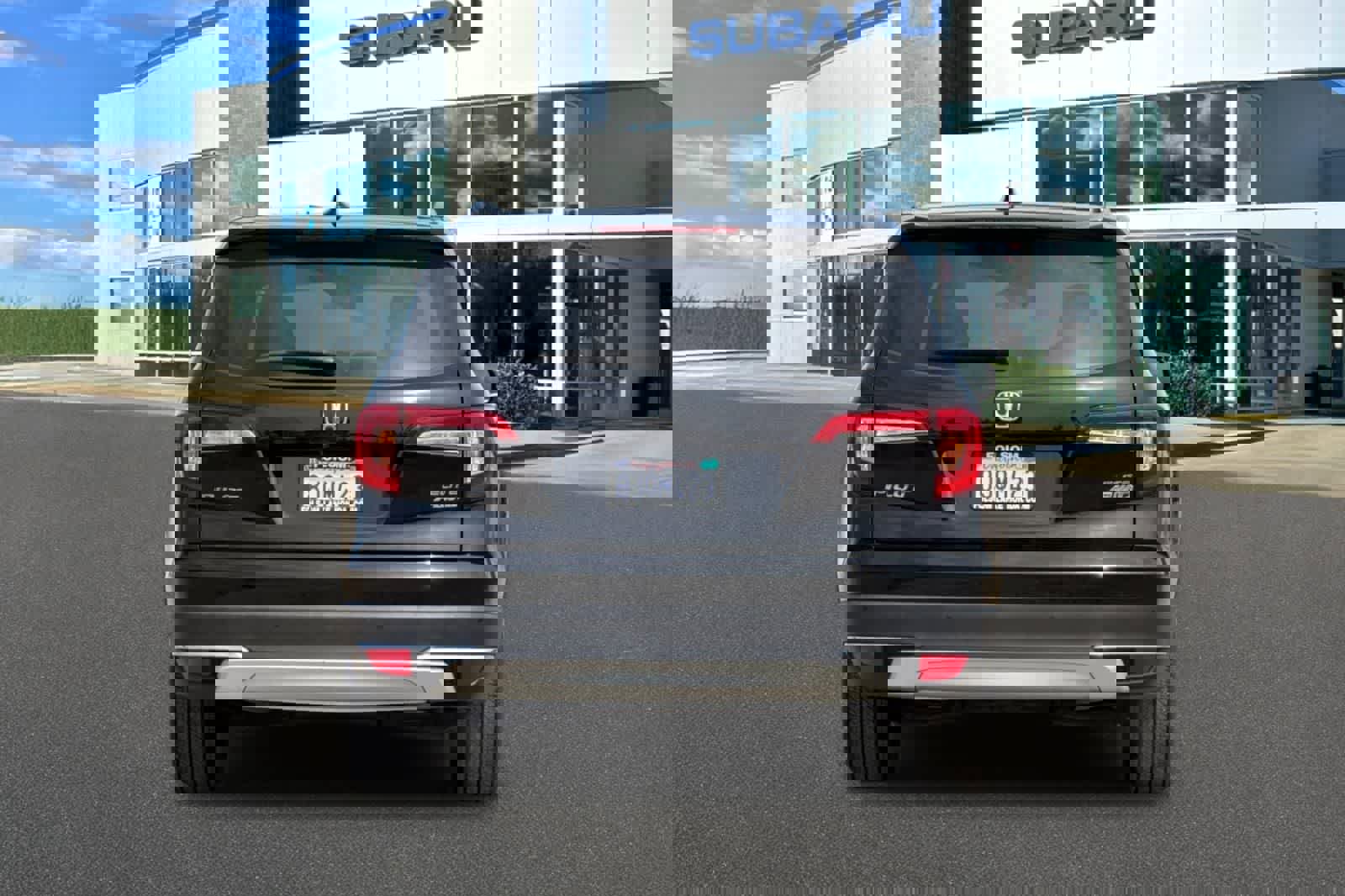 Used 2019 Honda Pilot Elite image 7