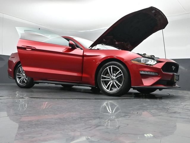 Used 2020 Ford Mustang Coupe w/ Equipment Group 101A RWD image 49