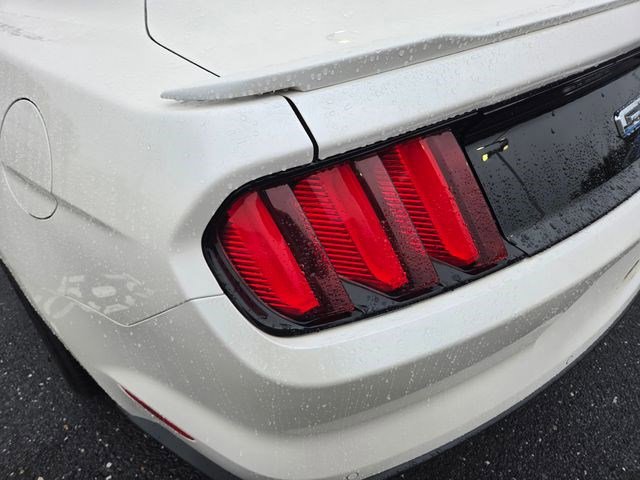 Used 2017 Ford Mustang GT Premium w/ Enhanced Security Package RWD image 13