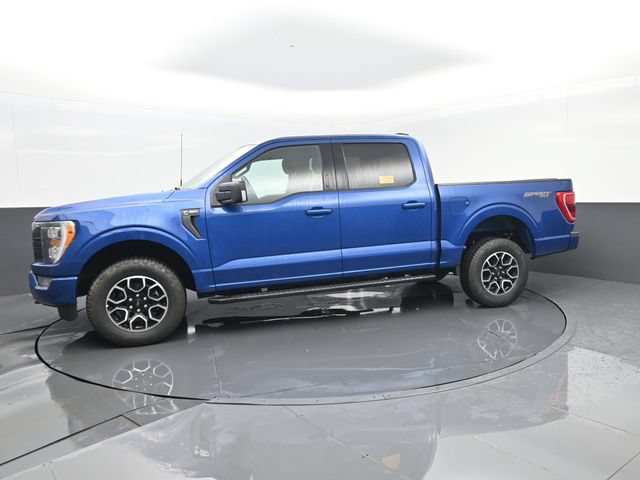 Used 2022 Ford F150 XLT w/ Equipment Group 302A High AWD/4WD image 5