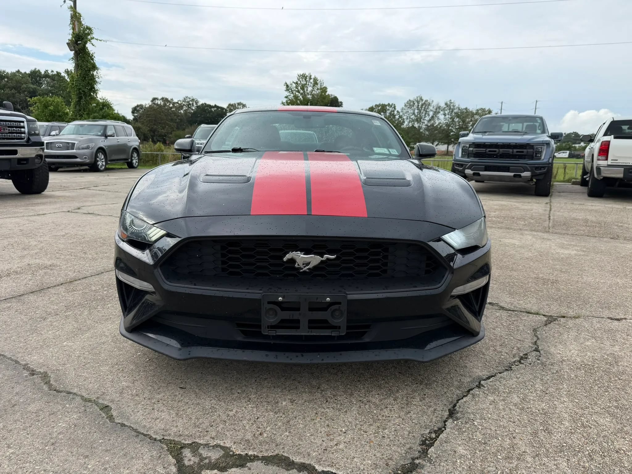 Used 2019 Ford Mustang Coupe w/ Equipment Group 101A RWD image 9