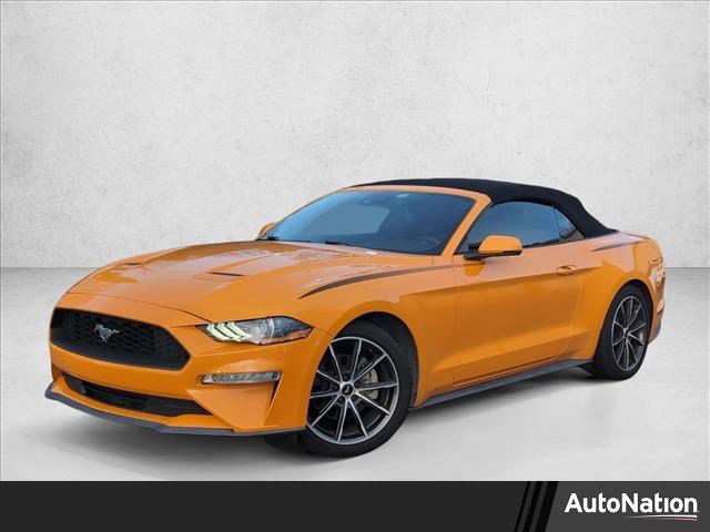 Used 2019 Ford Mustang Premium w/ Equipment Group 201A image 1