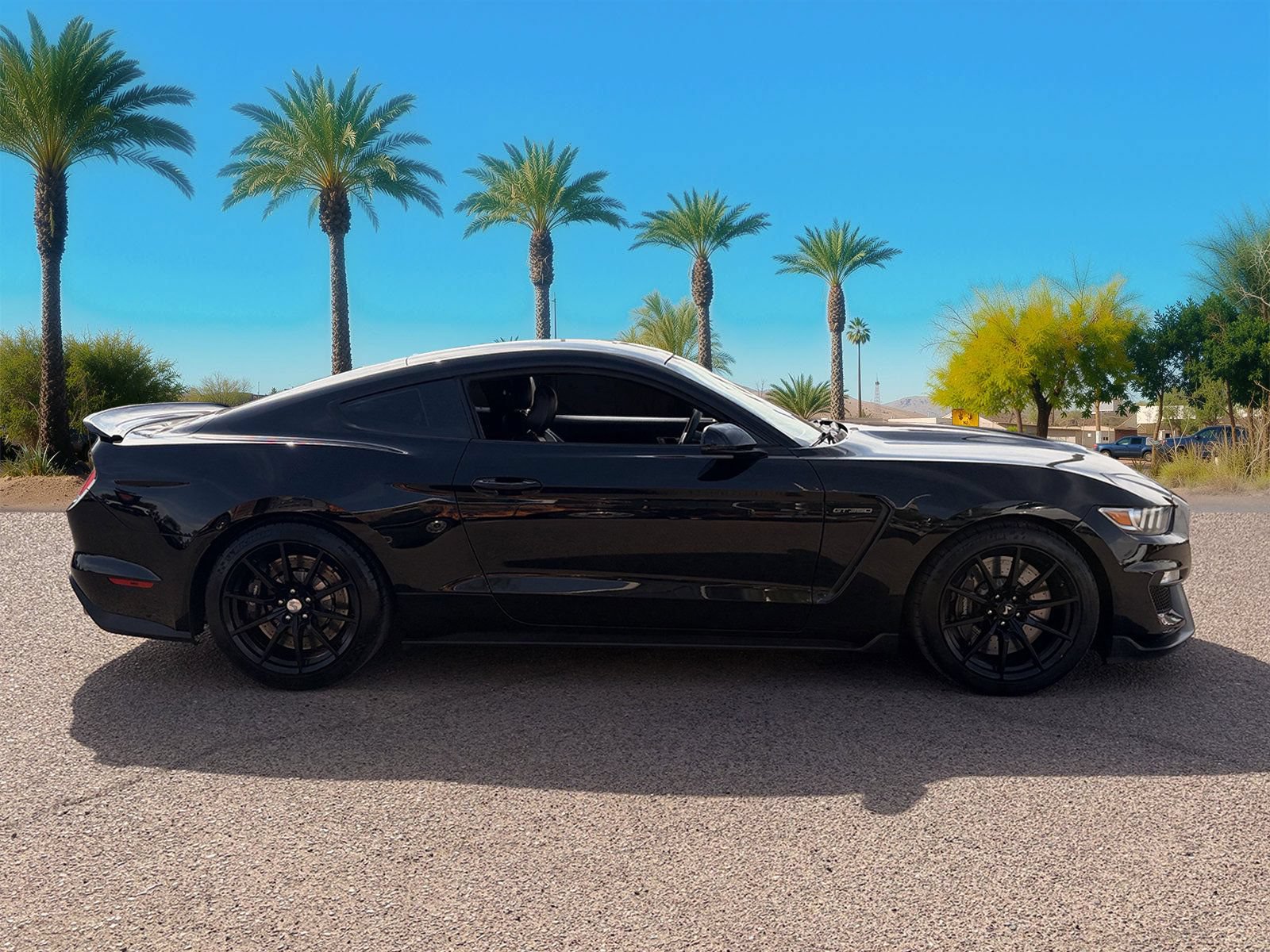 Used 2016 Ford Mustang Shelby GT350 w/ Technology Package RWD image 8