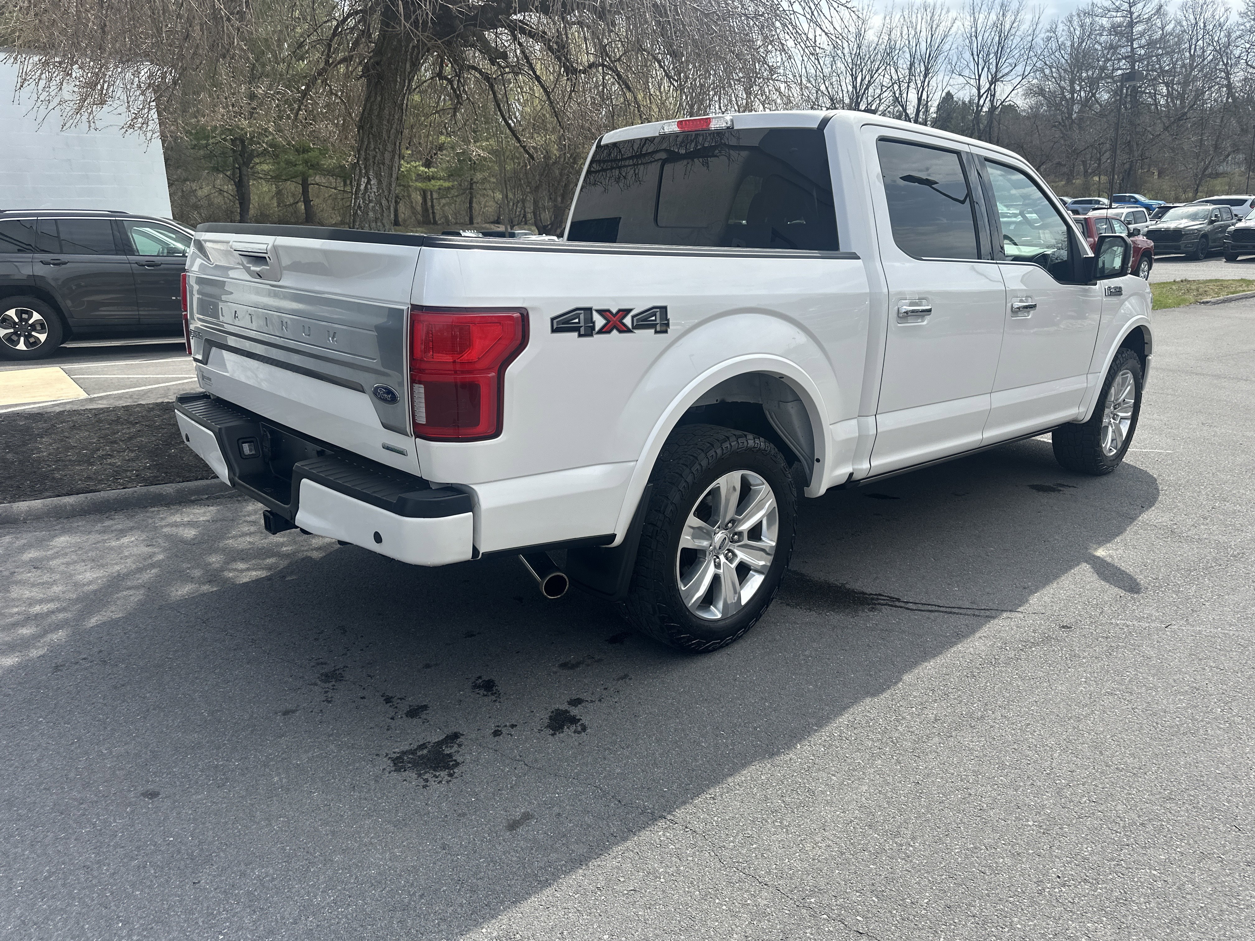 Used 2019 Ford F150 Platinum image 3