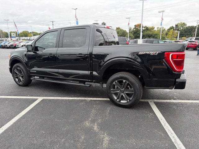 Used 2023 Ford F150 XLT w/ Equipment Group 302A High AWD/4WD image 7