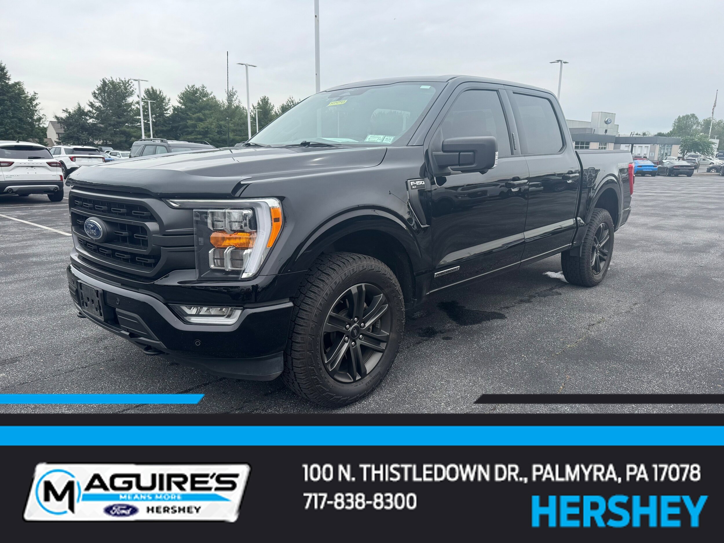 Used 2022 Ford F150 XLT w/ Equipment Group 302A High AWD/4WD image 1