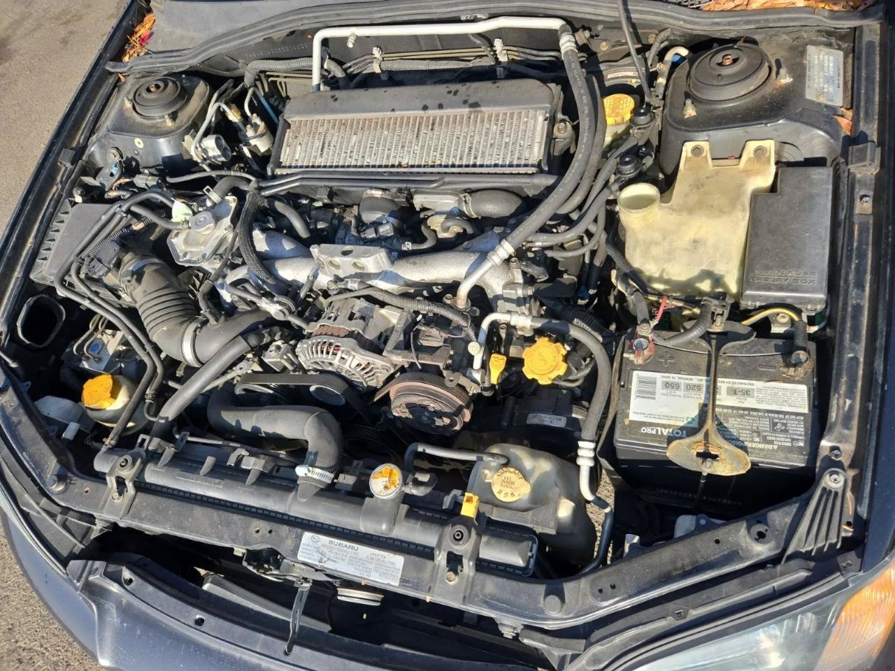 Used 2005 Subaru Baja Turbo AWD/4WD image 19