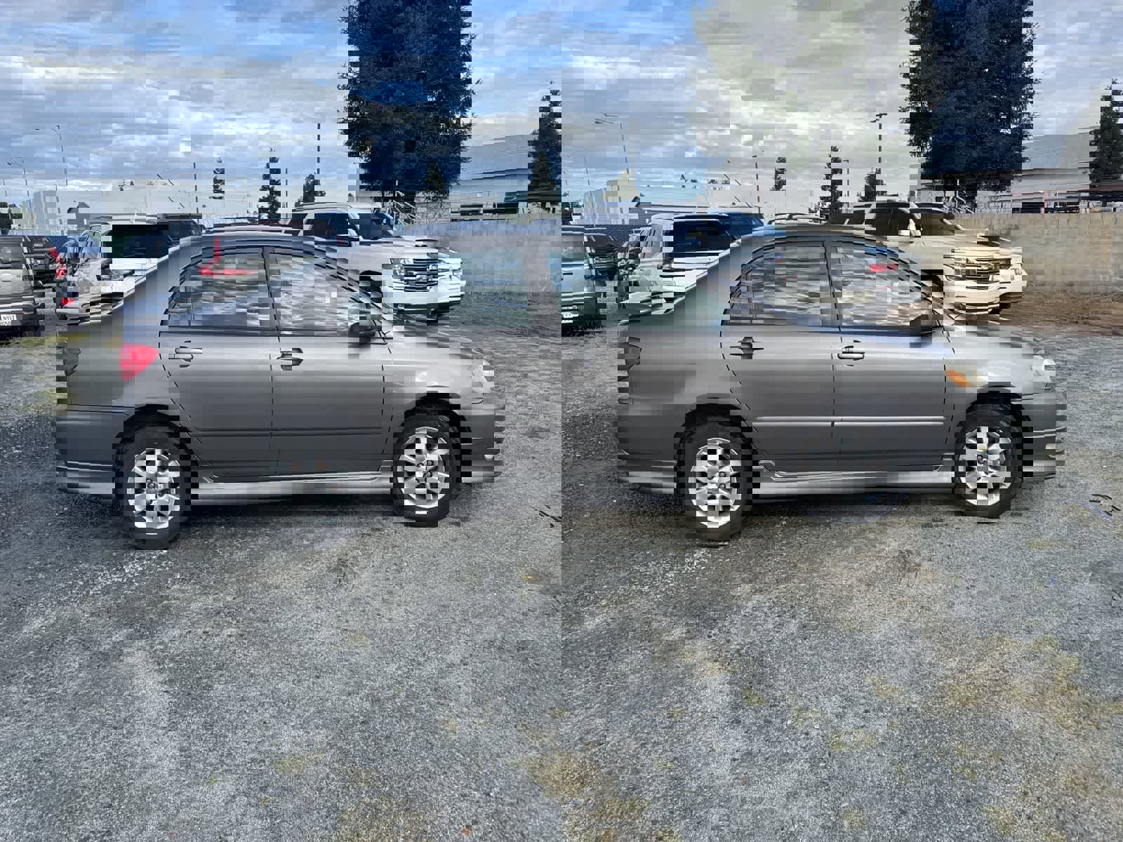 Used 2008 Toyota Corolla S image 4