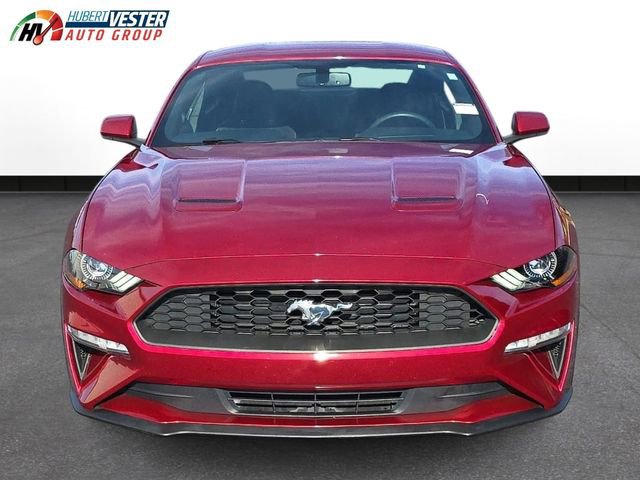 Used 2019 Ford Mustang EcoBoost image 3