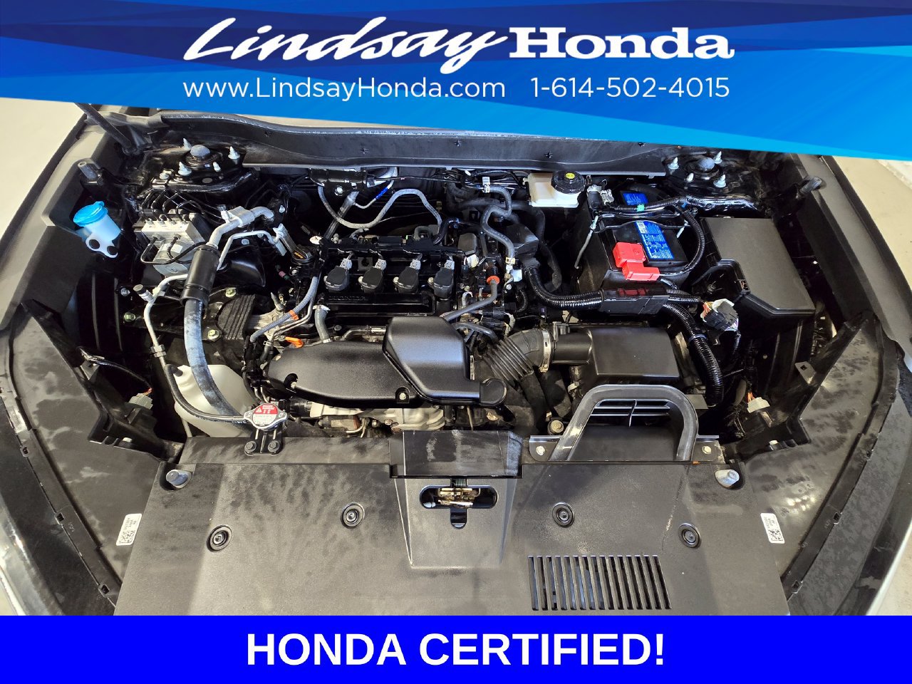 Certified 2025 Honda CR-V EX-L image 25