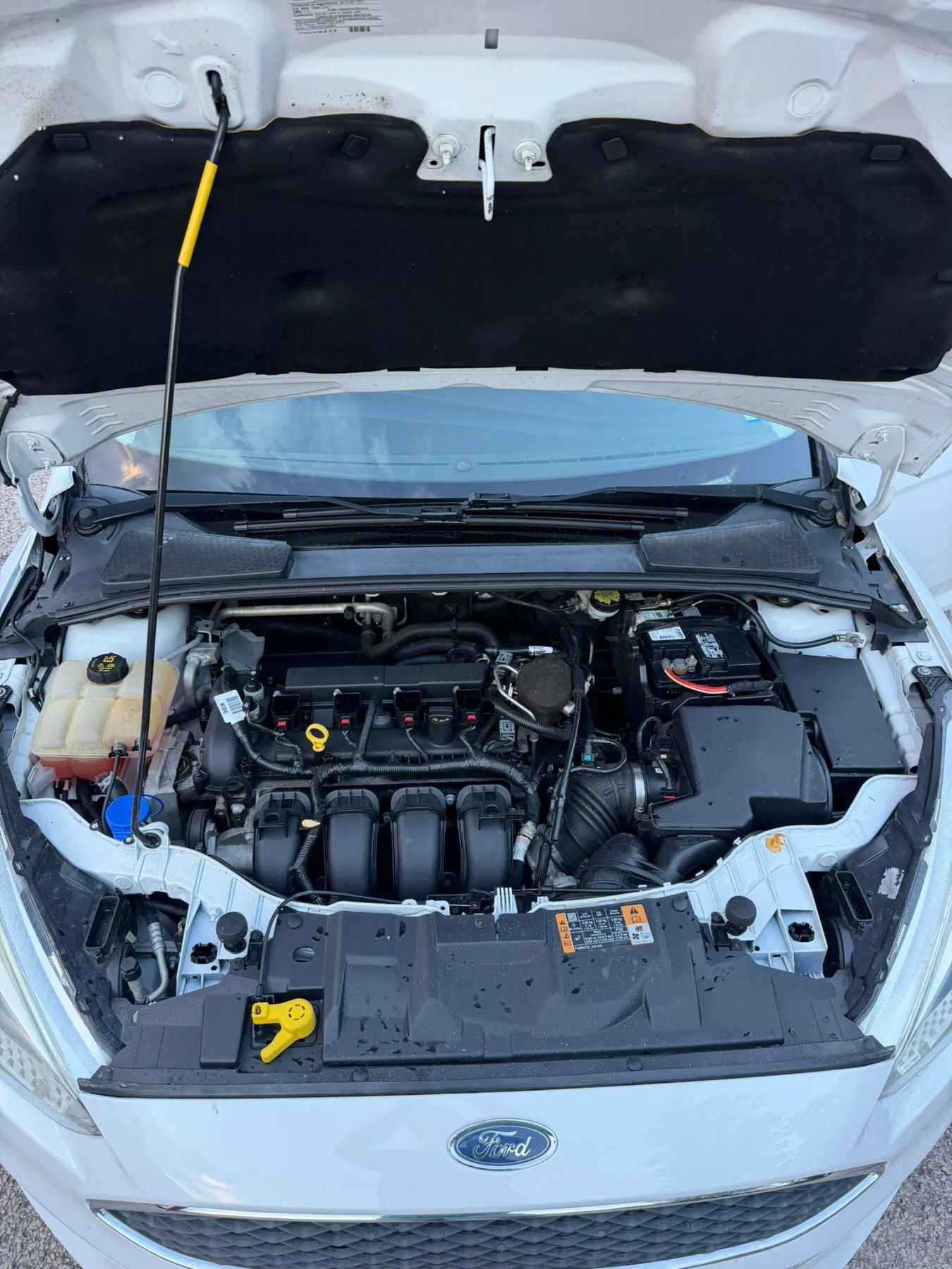 Used 2015 Ford Focus SE FWD image 18