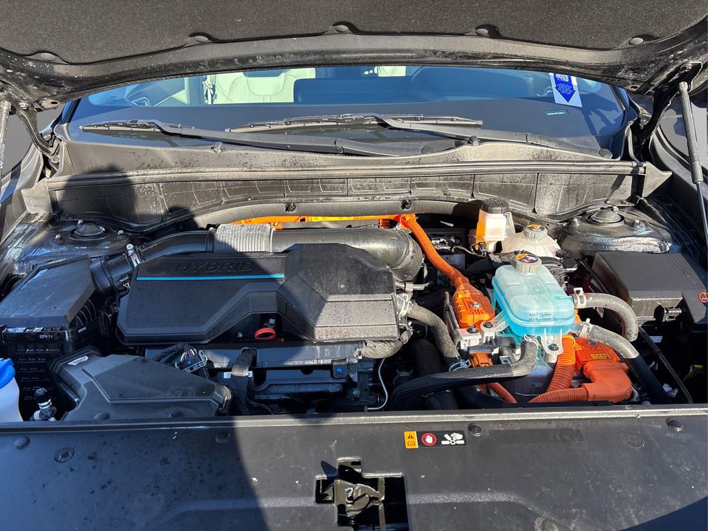 Certified 2023 Kia Sorento SX Prestige image 13