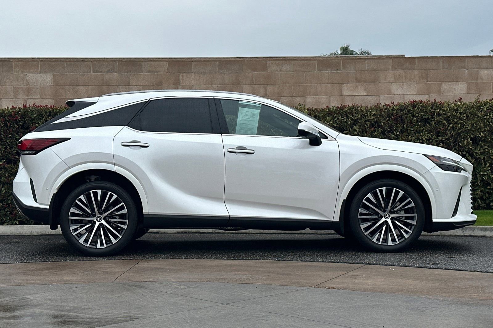 Certified 2024 Lexus RX 350 Premium Plus image 3