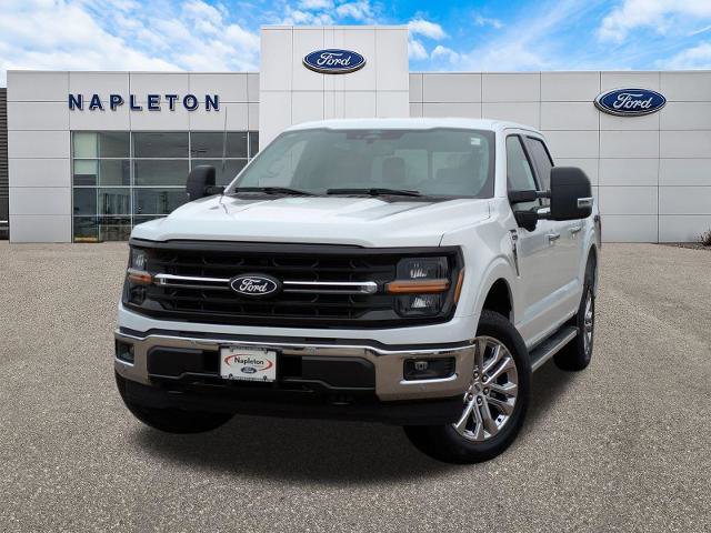 New 2025 Ford F150 XLT w/ Equipment Group 303A High image 30