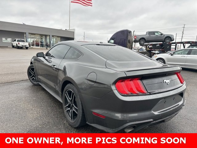 Used 2019 Ford Mustang Premium w/ Equipment Group 201A image 10