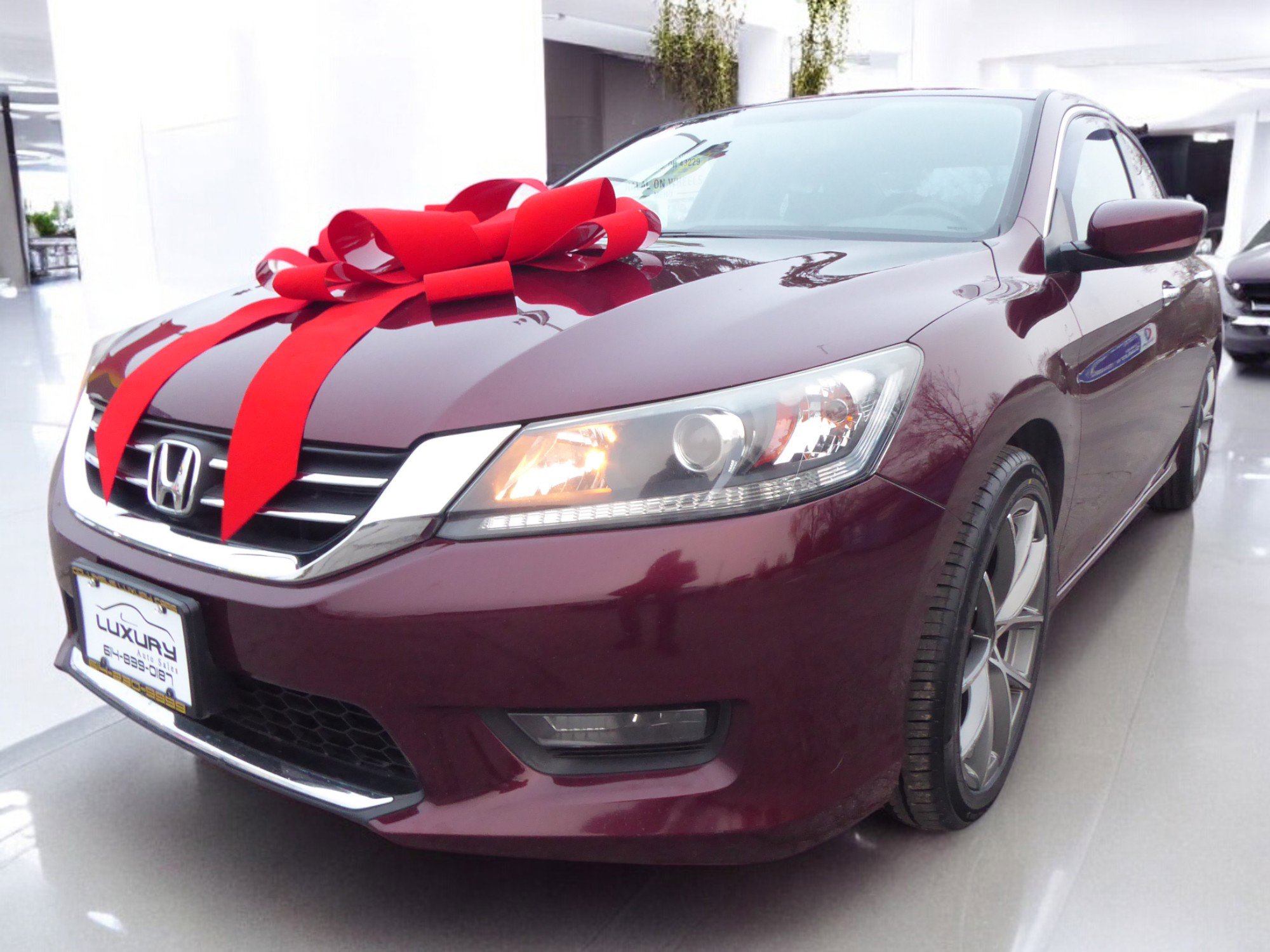 Used 2015 Honda Accord Sport image 5