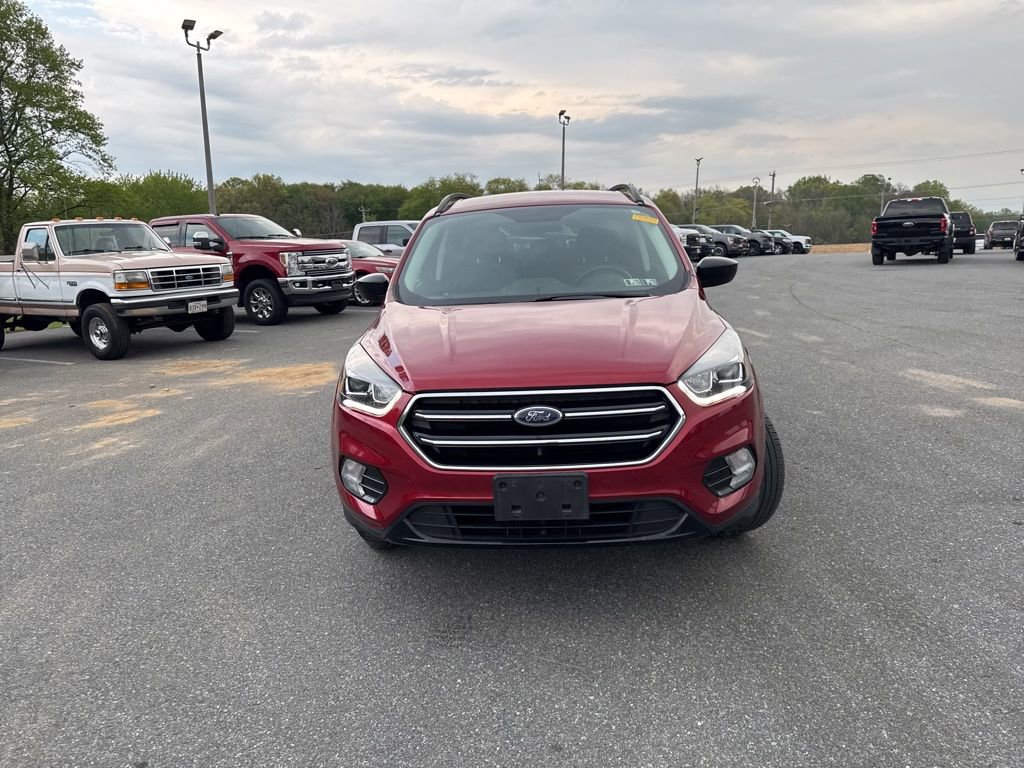 Used 2019 Ford Escape SE AWD/4WD image 2