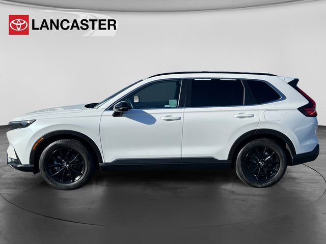 Used 2025 Honda CR-V Sport image 4