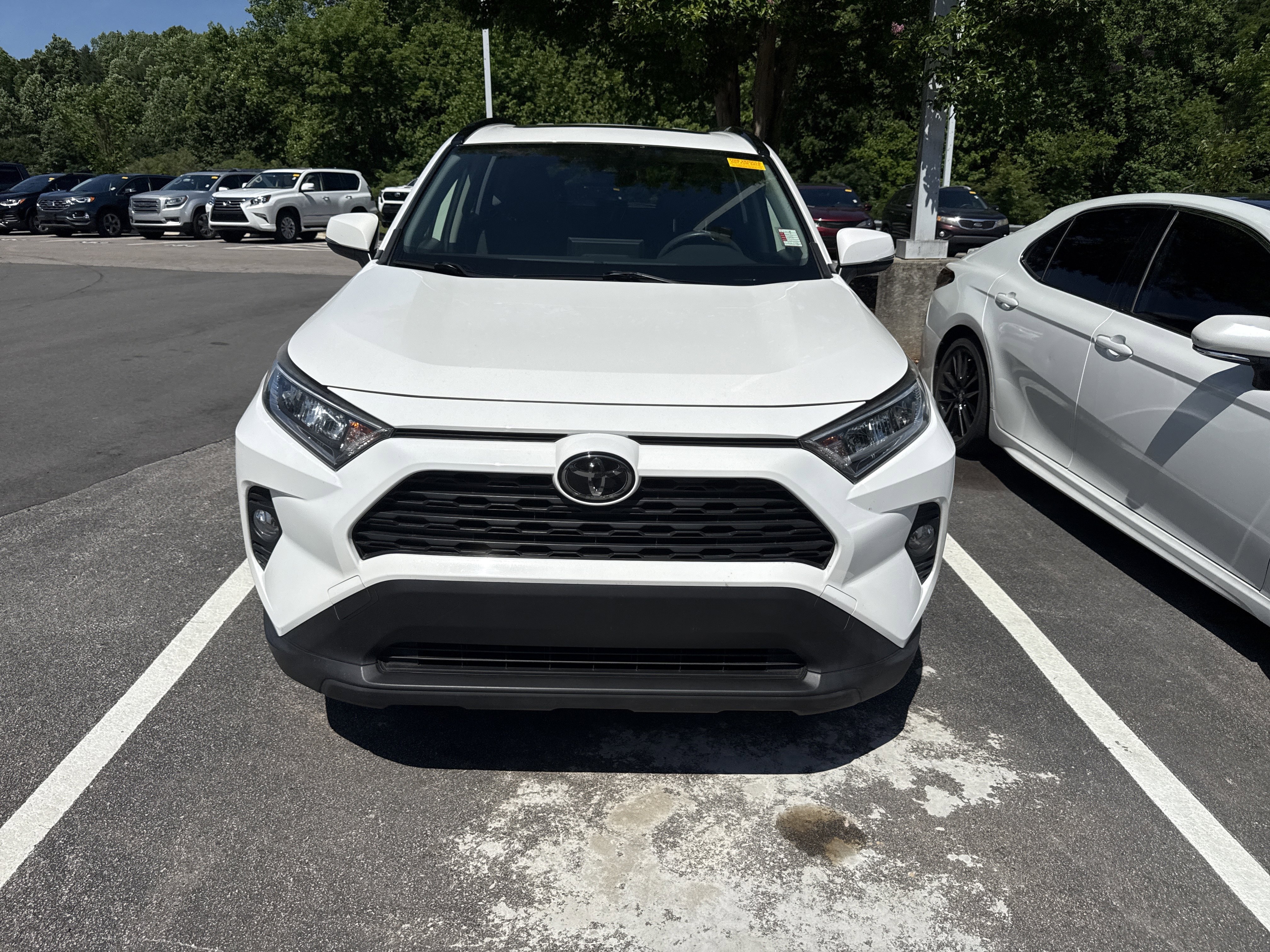 Used 2019 Toyota RAV4 XLE FWD image 2