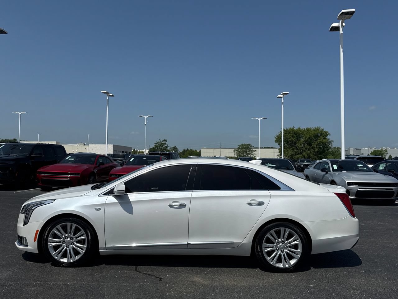 Used 2019 Cadillac XTS Luxury AWD/4WD image 6