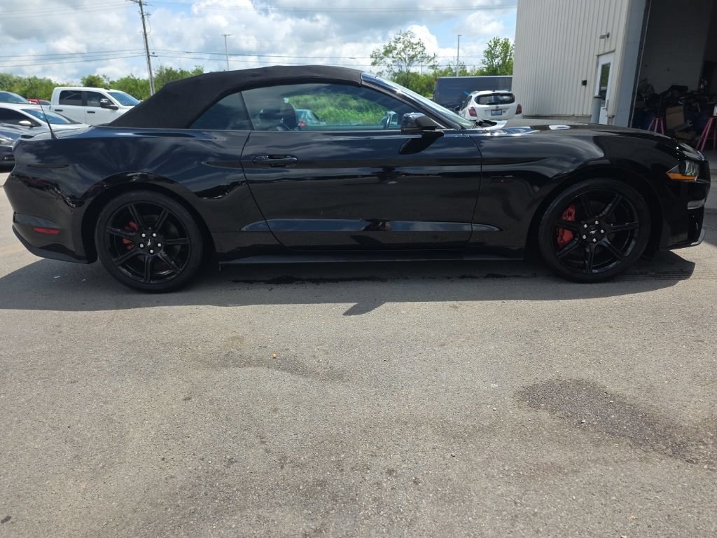 Used 2020 Ford Mustang GT Premium w/ Equipment Group 401A RWD image 4