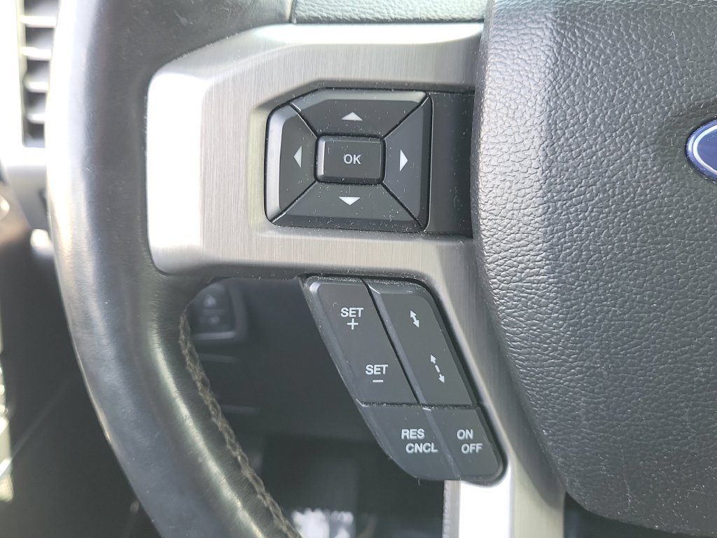 Used 2017 Ford F150 Platinum w/ Equipment Group 701A Luxury AWD/4WD image 9