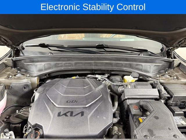 Used 2024 Kia Telluride SX Prestige X-Pro image 30