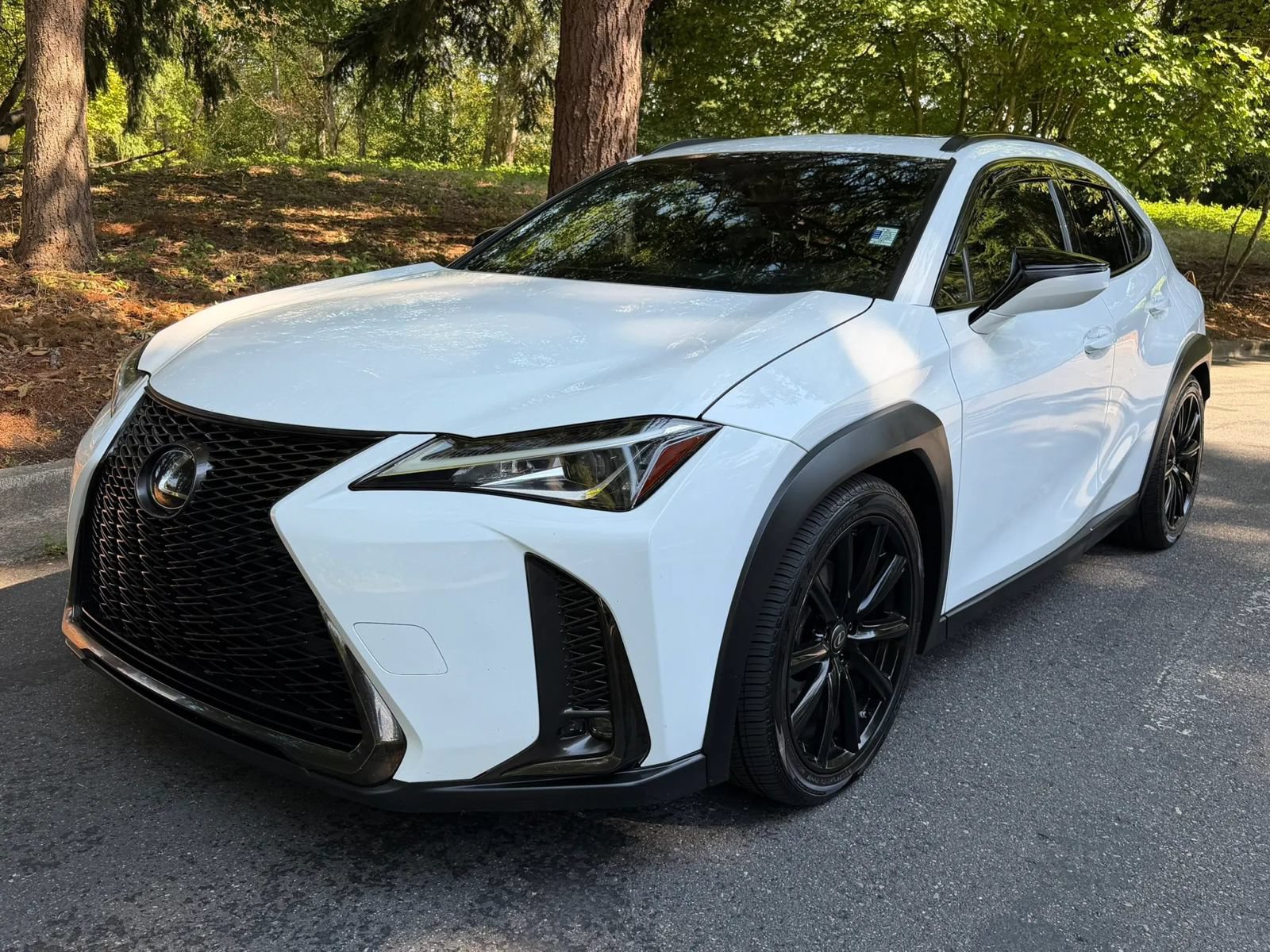 Used 2019 Lexus UX 200 F Sport w/ F Sport Premium Package
