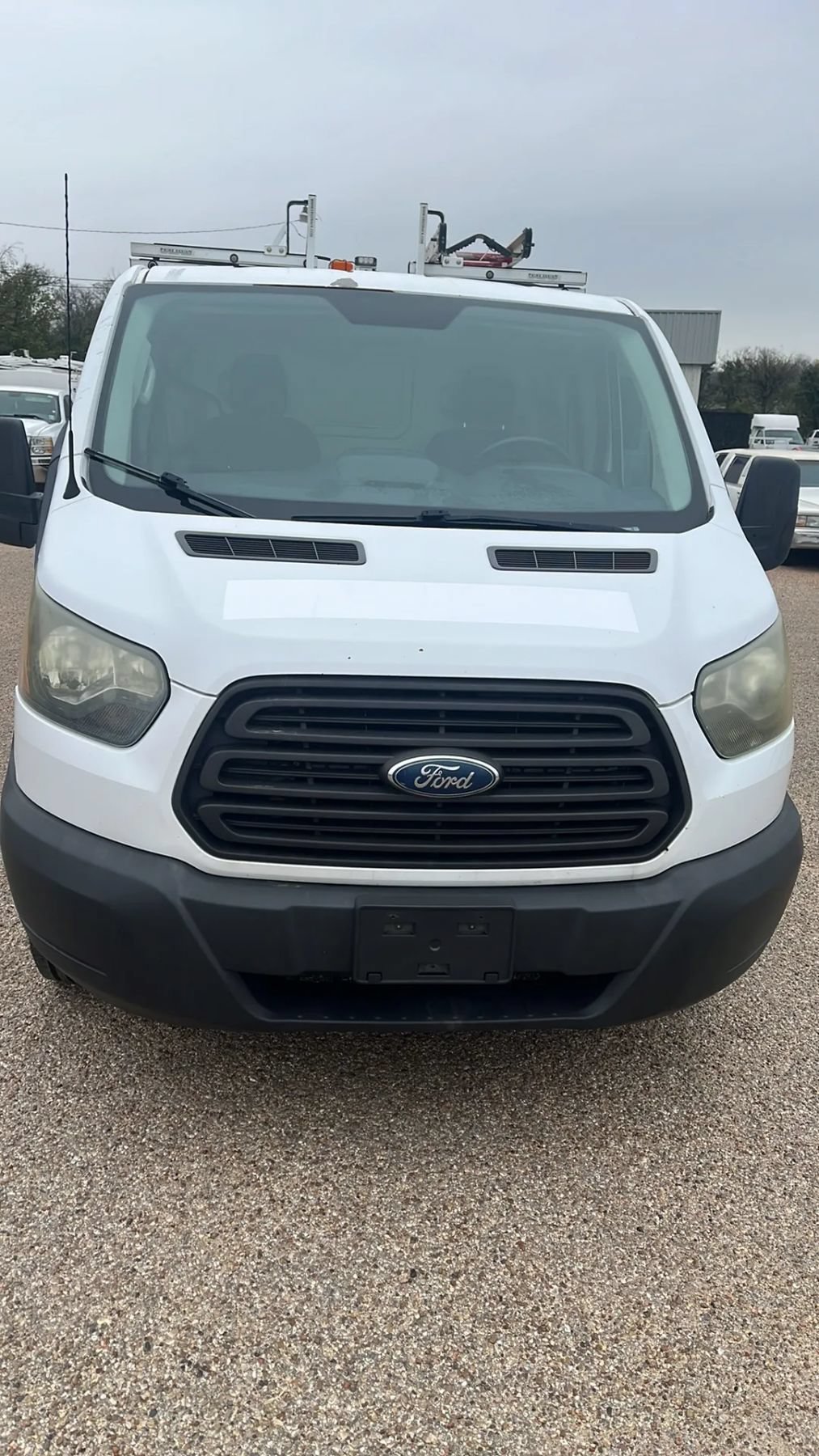 Used 2015 Ford Transit 250 130 Low Roof RWD image 6