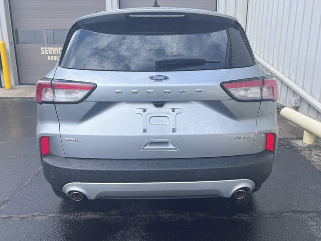 Used 2022 Ford Escape SEL image 7