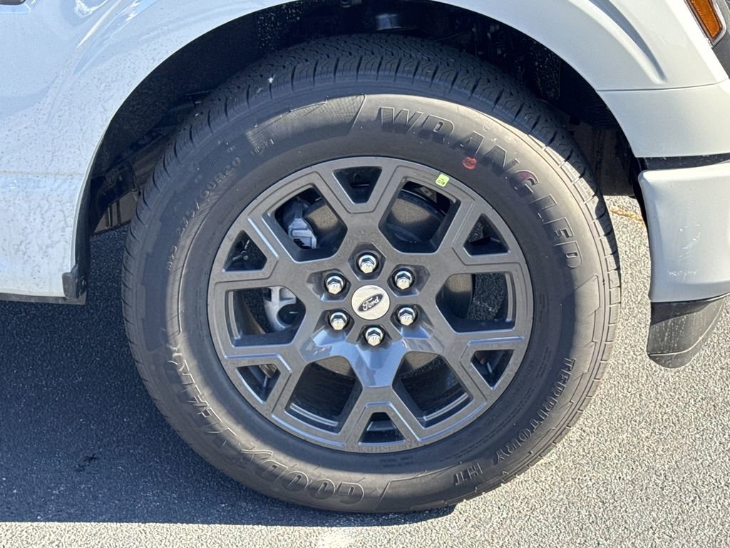 New 2026 Ford F150 STX w/ Equipment Group 200A image 12