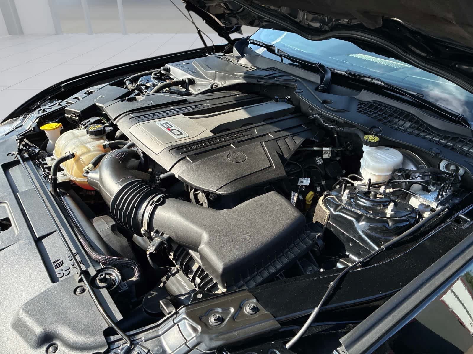 Used 2019 Ford Mustang GT w/ Black Accent Package RWD image 15