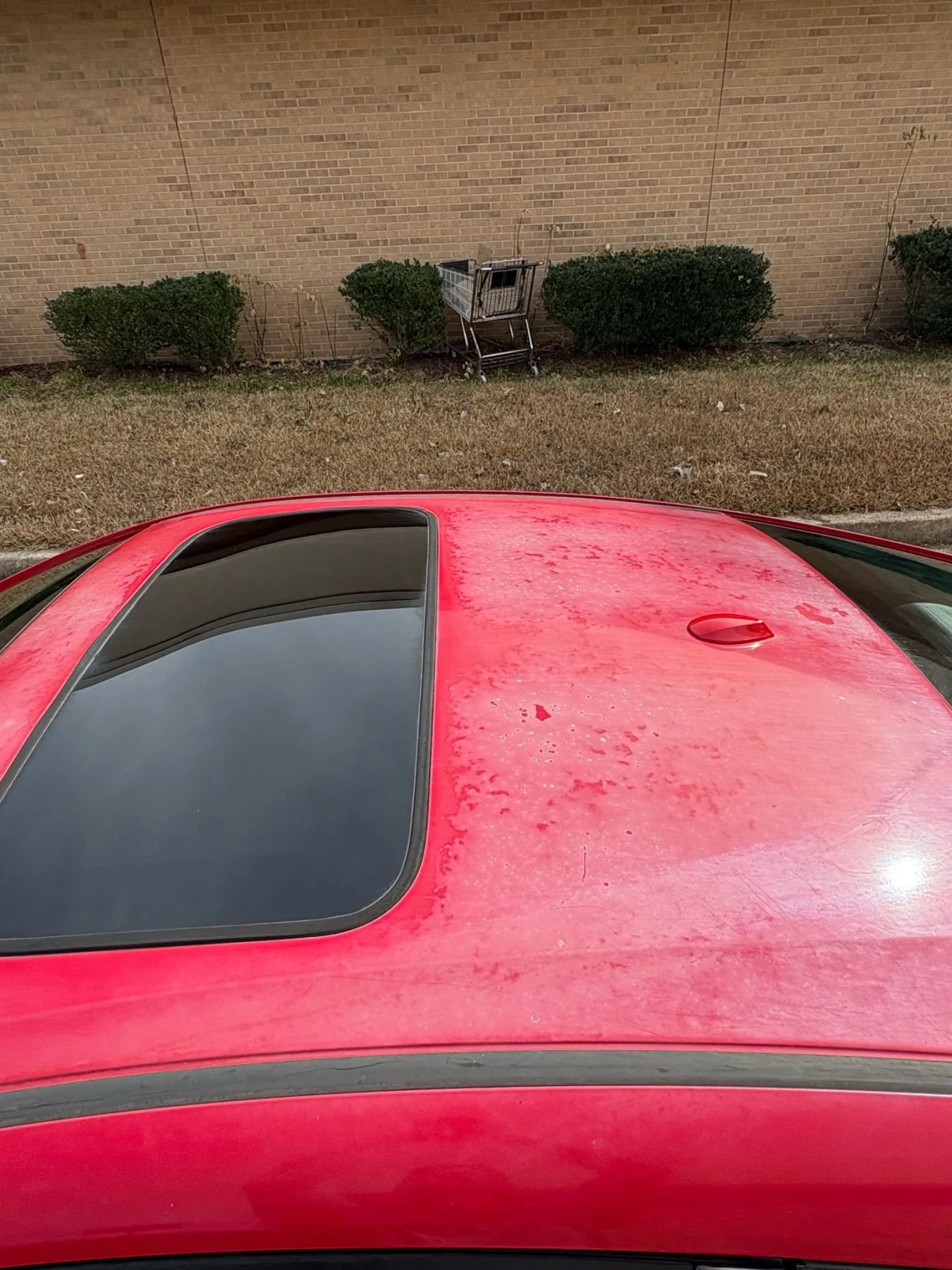 Used 2013 Honda Civic Si image 6