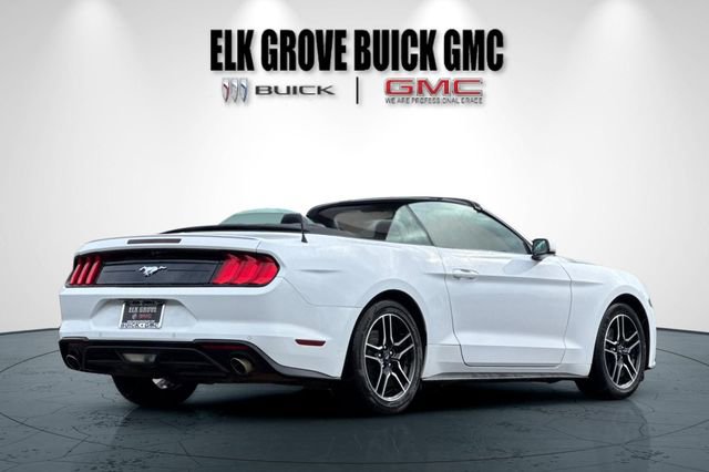 Used 2023 Ford Mustang Premium RWD image 4