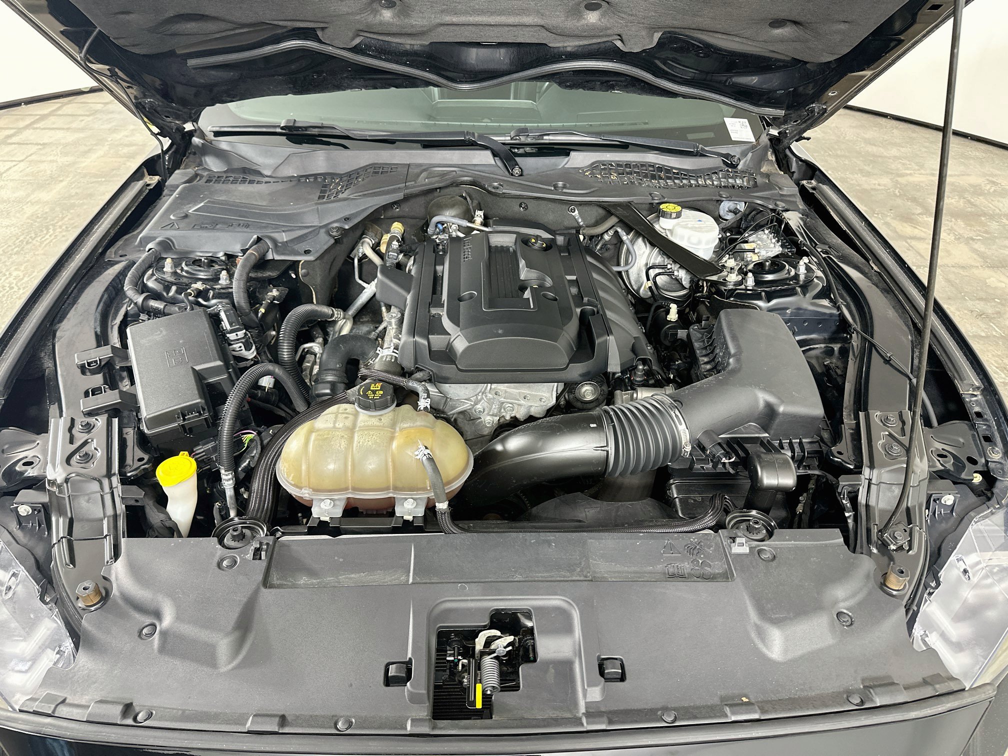 Used 2018 Ford Mustang Premium w/ Equipment Group 201A RWD image 30