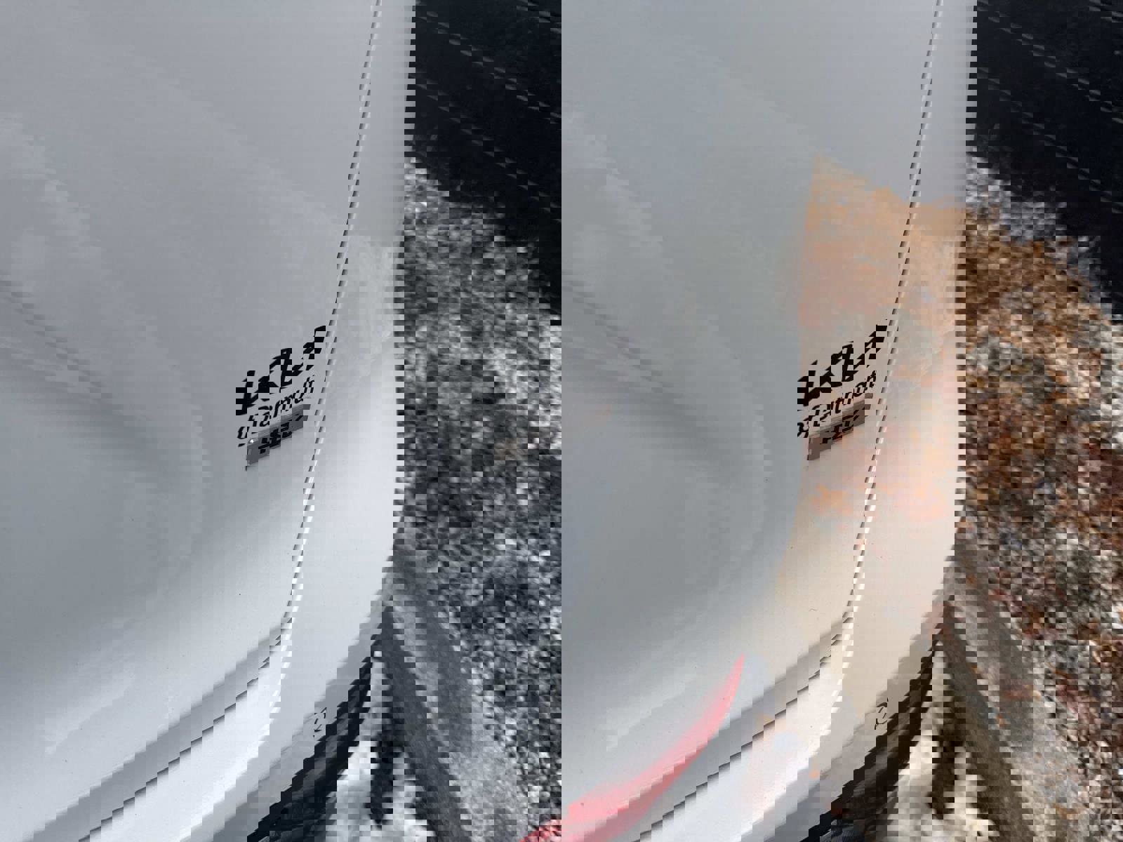 Used 2023 Kia Niro EX image 10