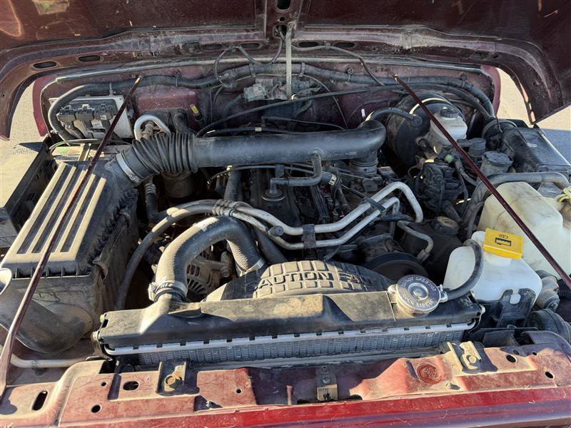 Used 2001 Jeep Wrangler Sahara AWD/4WD image 15