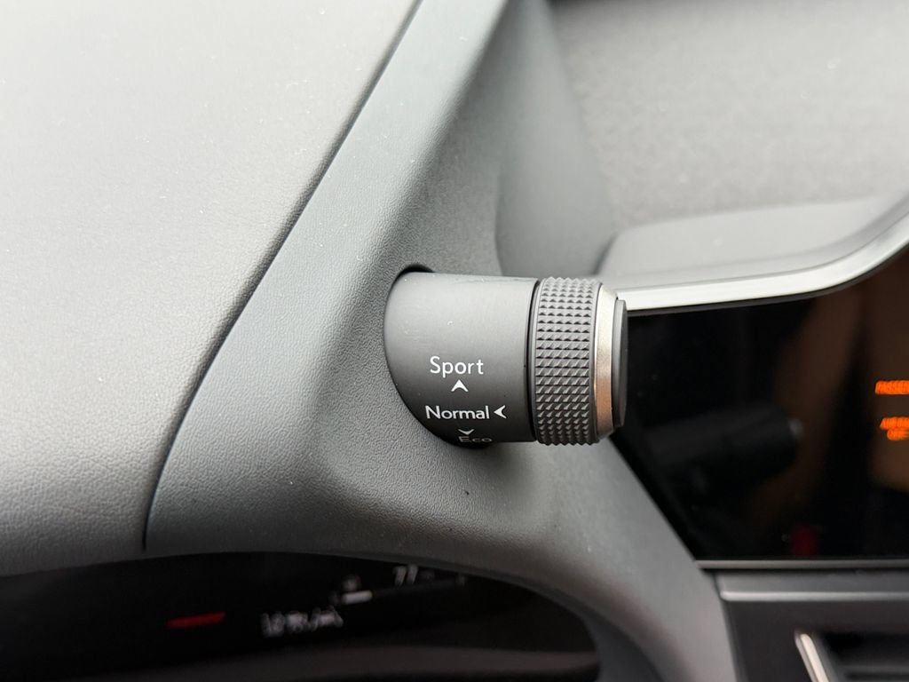 Certified 2025 Lexus UX 300h FWD w/ Cold Area Package image 30