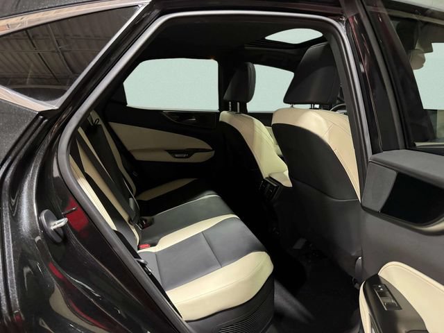 Certified 2024 Lexus NX 350h AWD w/ Cold Area Package image 23