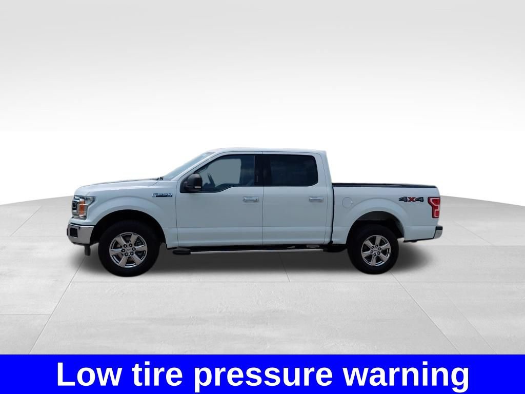 Used 2019 Ford F150 XLT w/ Equipment Group 302A Luxury AWD/4WD image 21